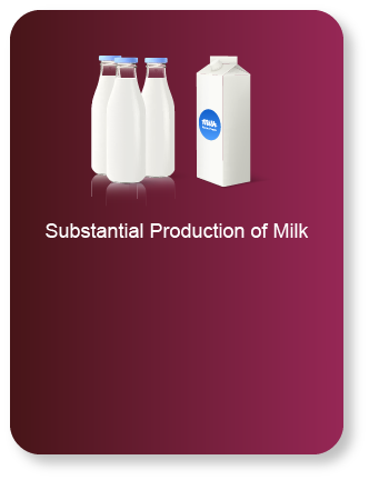 milk-9
