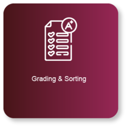 grading-and-sorting